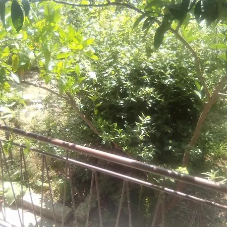 Zarko Javoran Apartamento